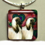 Afghan Hound-