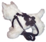 Black Croc Step In Harness-