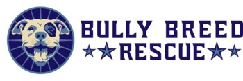 Bully Breed Rescue