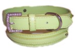 Lime Green Collar 3/4"-