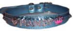 Metallic Turquoise Collar LG XL-