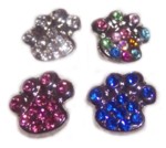 Paw Prints-