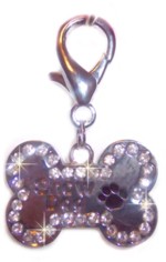 Show Dog-