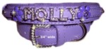 Violet Collar Medium 3/4"-
