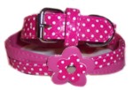 Pink Polka Dot Collar-