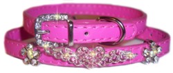hotpinkcollarhome250
