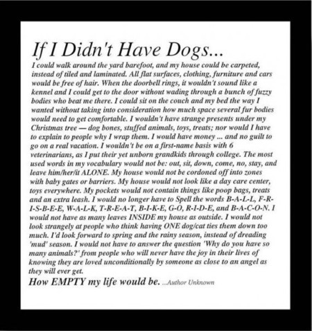 If I didn't Have Dogs