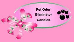 -pet odor elimantor candles, soy candles, pet candles, soy based cnadles