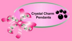 -Wholesale d ring pendant charms, pet personality pendants, low cost, high quality, dog collar charms