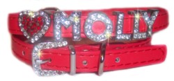 redcollarhome250