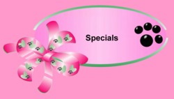 -Big dog collars, English Mastiff Collars, XXL dog collars, black xxl dog collars, big puppy collars, metallic turquoise dog collars, metallic purple dog collars, hot pink collars xxl, xl, lg. big pet collars, fancy big dog collars, rhinestone big dog collars, rhinestone name big pet collars. harness + free leash,great dane collars, dog gear,
