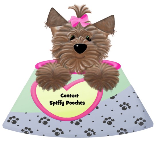 spiffy-pooches-contact
