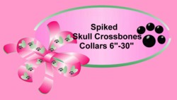 -Spiked dog collar, skull crossbones dog collars wholesale, spiked dog collars, big dog collars, XXXL Dog collars, faux leather dog collars, croc dog collars, hot pink croc spikes dog collar, dog jewels, pet jewelry, pet charms, teacup dog charms, 10mm slide charms wholesale, wholesale pet supplies, wholesale pet charms, wholesale pet goods, personality pendant dog charms, cute and funny saying dog charms, cat charms, cat rhinestone collars, kitty rhinestone collars, personalized rhinestone collars, dog name rhinestone collars, swarovski crystal rhinestone charms wholesale, black croc skull collars, cheap pet collars, inexpensive pet collars, cheap good quality pet dog collars. Metallic Hot Pink Spiked Collars, Purple spiked collars, pink spike collars, metallic spiked collars, blue spiked collars, metallic red spiked studded collars, studded puppy collars, spiked skull crossbones collars wholesale, studded dog collars, metallic hot pink dog collars, metallic studded collar, metallic spiked collars, metallic blue spiked dog collars, teacup spiked collars, lime green spiked collars, lime green studded collar wholesale, great Dane collars, English mastiff collars, fat dog collars, bigger dog collars, metallic purple studded collars, metallic purple puppy collars, hot pink croc skull crossbones leash, black croc lead, leashes you can personalize, pets name on a leash, spiked and crossbone leashes, punk rock dog collars, punkie dog leashes, dogs name of a leash, czech rhinestone crytals, wholessale punk doggie leashes, wholesale pink croc leashes.
