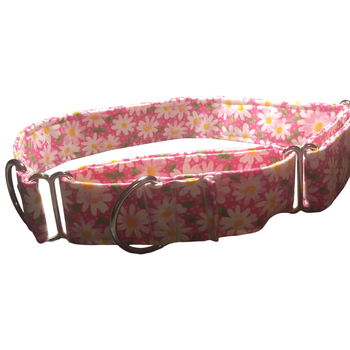 MARTINGALE COLLAR 1",1.5, 2" WIDE